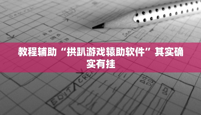 教程辅助“拱趴游戏辕助软件”其实确实有挂