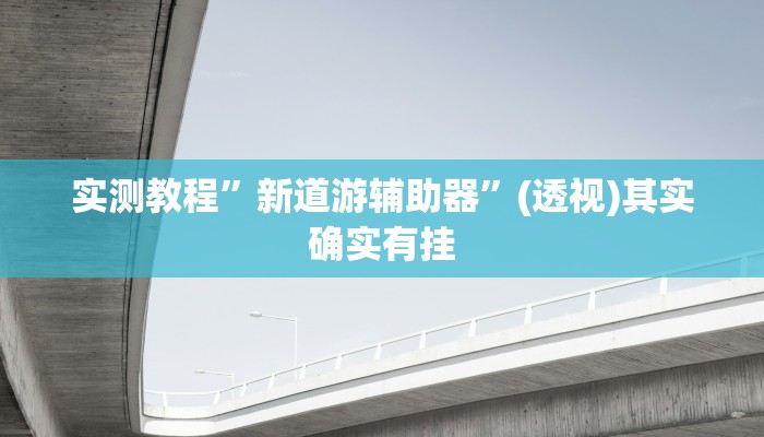 实测教程”新道游辅助器”(透视)其实确实有挂