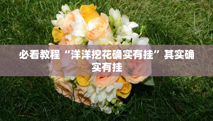 必看教程“洋洋挖花确实有挂”其实确实有挂