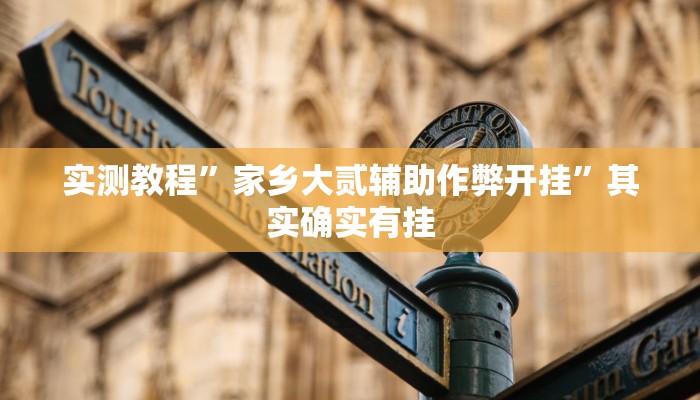 实测教程”家乡大贰辅助作弊开挂”其实确实有挂