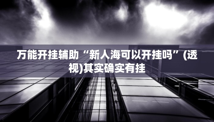 万能开挂辅助“新人海可以开挂吗”(透视)其实确实有挂