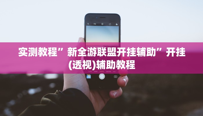 实测教程”新全游联盟开挂辅助”开挂(透视)辅助教程