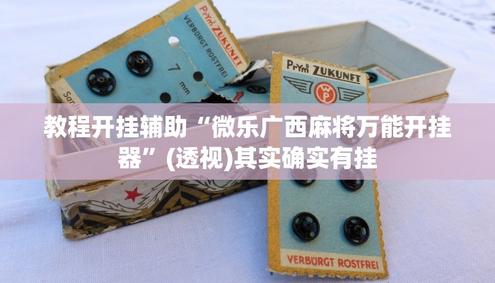 教程开挂辅助“微乐广西麻将万能开挂器”(透视)其实确实有挂 教程开挂辅助“微乐广西麻将万能开挂器”(透视)其实确实有挂