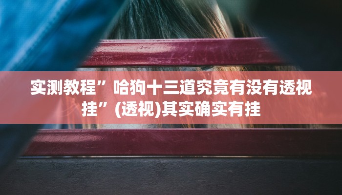实测教程”哈狗十三道究竟有没有透视挂”(透视)其实确实有挂