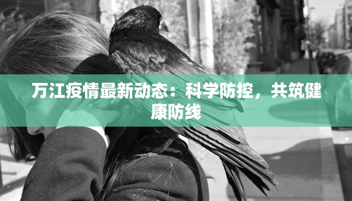 万江疫情最新动态：科学防控，共筑健康防线