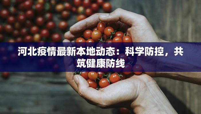 禹城疫情路况最新