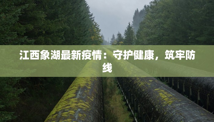 江西象湖最新疫情：守护健康，筑牢防线