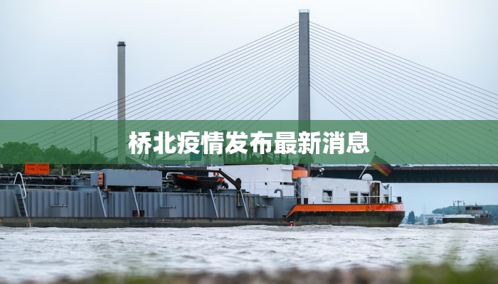 石桥区最新疫情报告单