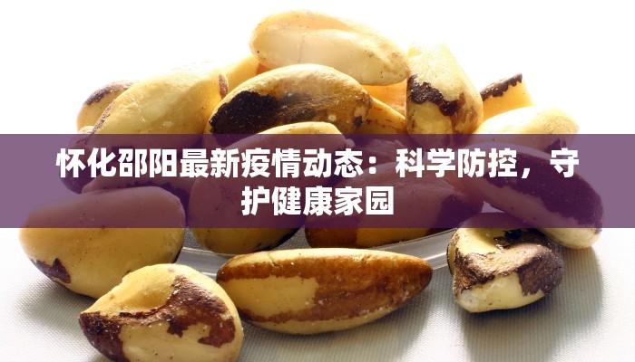 怀化邵阳最新疫情动态：科学防控，守护健康家园