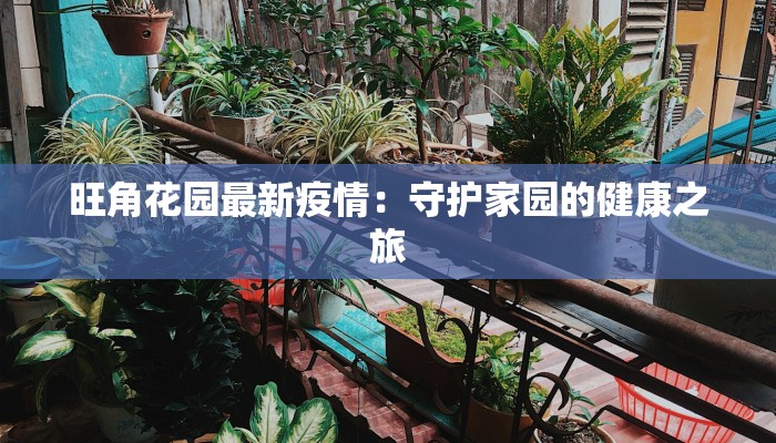 广东惠康疫情最新通报