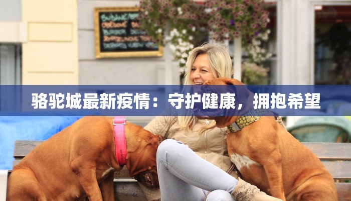 韩城猪瘟最新疫情：科学防控与养殖新机遇