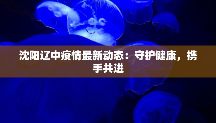 沈阳辽中疫情最新动态：守护健康，携手共进