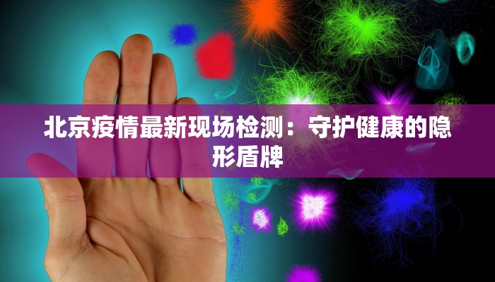 北京疫情最新现场检测：守护健康的隐形盾牌