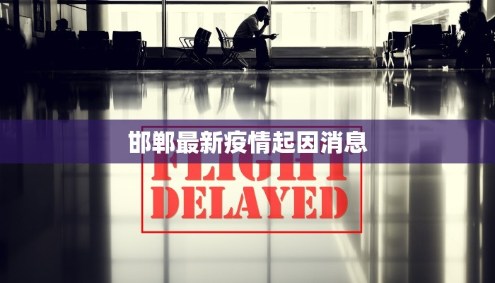 邯郸最新疫情起因消息