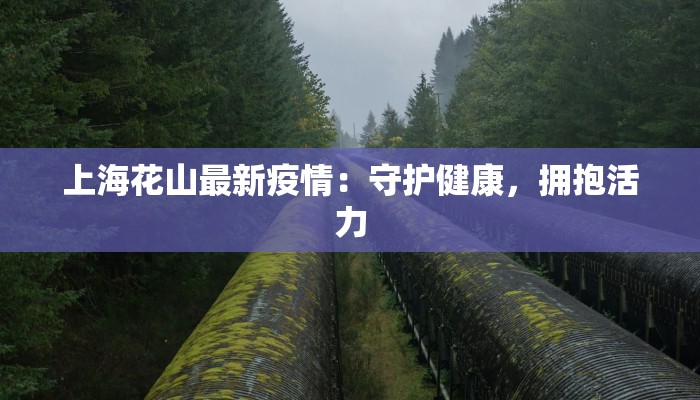 沈疫情最新情况