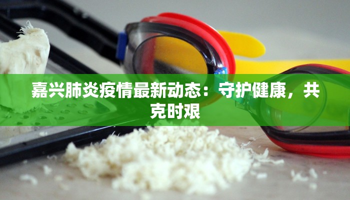 嘉兴肺炎疫情最新动态：守护健康，共克时艰