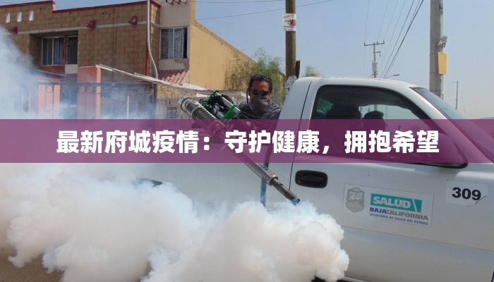 最新府城疫情：守护健康，拥抱希望