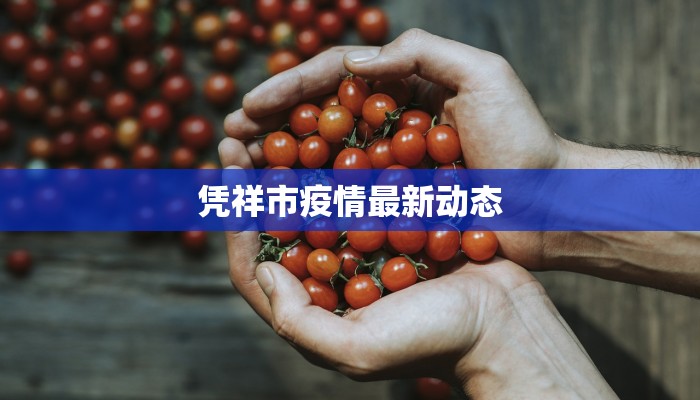 贡川疫情最新通报情况