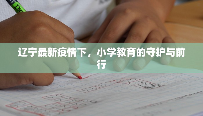 辽宁最新疫情下，小学教育的守护与前行