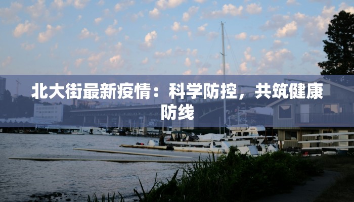 北大街最新疫情：科学防控，共筑健康防线