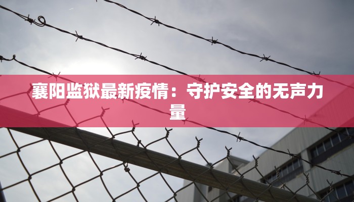 襄阳监狱最新疫情：守护安全的无声力量
