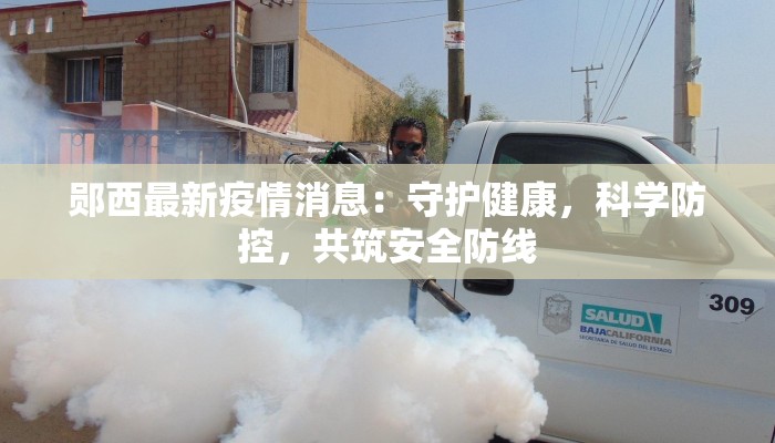 妹冢疫情最新：守护家园，携手共克时艰