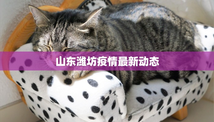 山东潍坊疫情最新动态