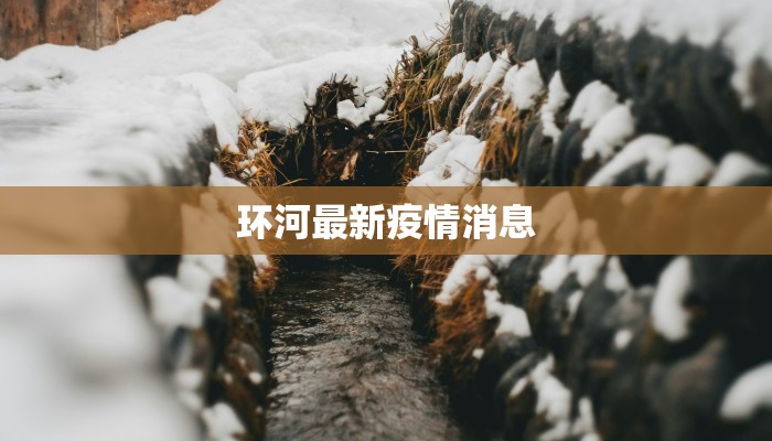 环河最新疫情消息