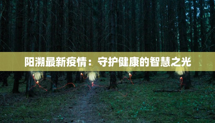 阳溯最新疫情：守护健康的智慧之光