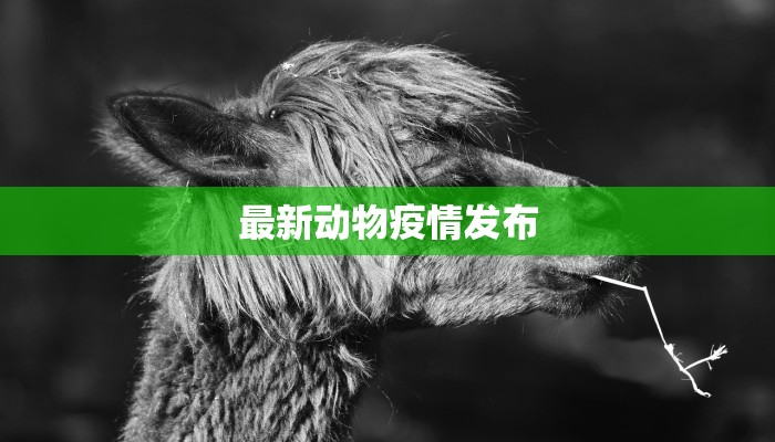 今日湖南疫情最新报告