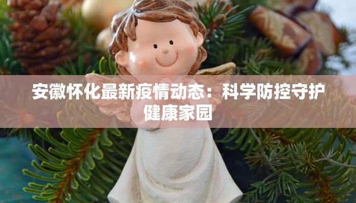 安徽怀化最新疫情动态：科学防控守护健康家园