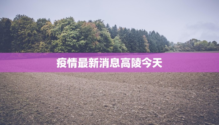 疫情最新消息高陵今天