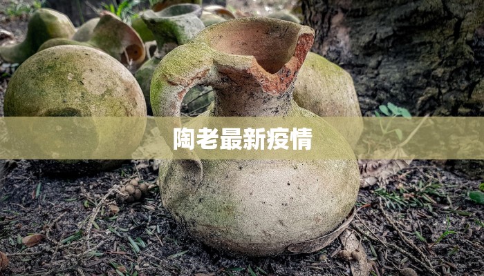 莲下疫情最新消息