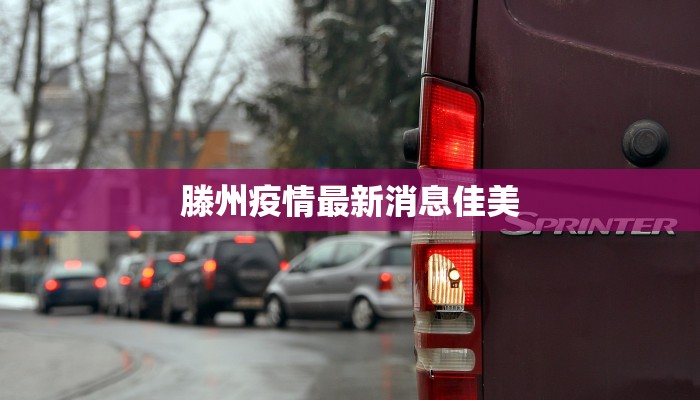 郧西最新疫情通知