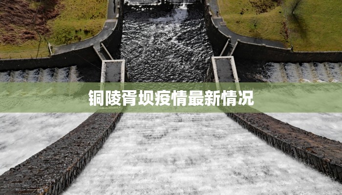 铜陵胥坝疫情最新情况