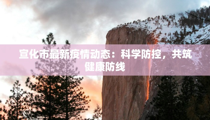 宣化市最新疫情动态：科学防控，共筑健康防线