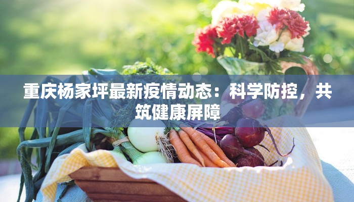 重庆杨家坪最新疫情动态：科学防控，共筑健康屏障