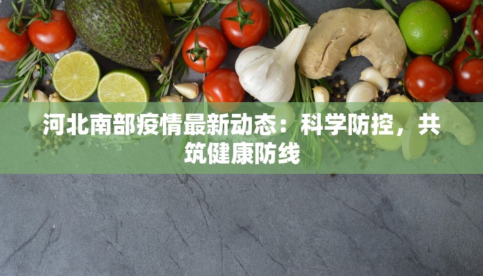 河北南部疫情最新动态：科学防控，共筑健康防线