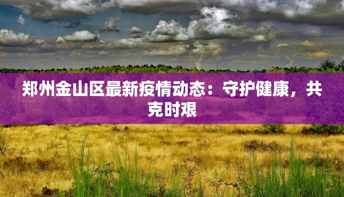 郑州金山区最新疫情动态：守护健康，共克时艰