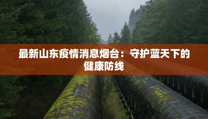 最新山东疫情消息烟台：守护蓝天下的健康防线