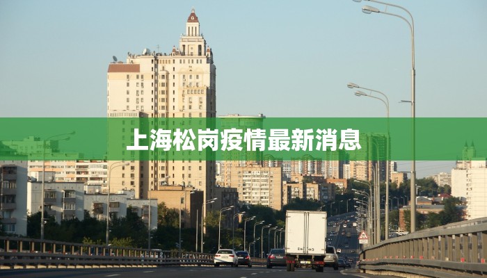 上海松岗疫情最新消息