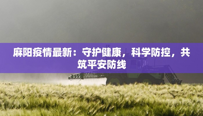 麻阳疫情最新：守护健康，科学防控，共筑平安防线